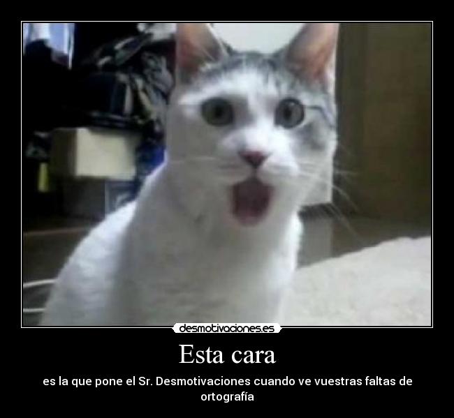 Esta cara - es la que pone el Sr. Desmotivaciones cuando ve vuestras faltas de ortografía