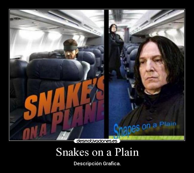 Snakes on a Plain - Descripción Grafica.