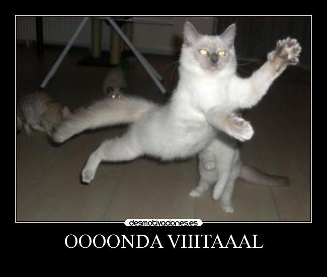 OOOONDA VIIITAAAL - 