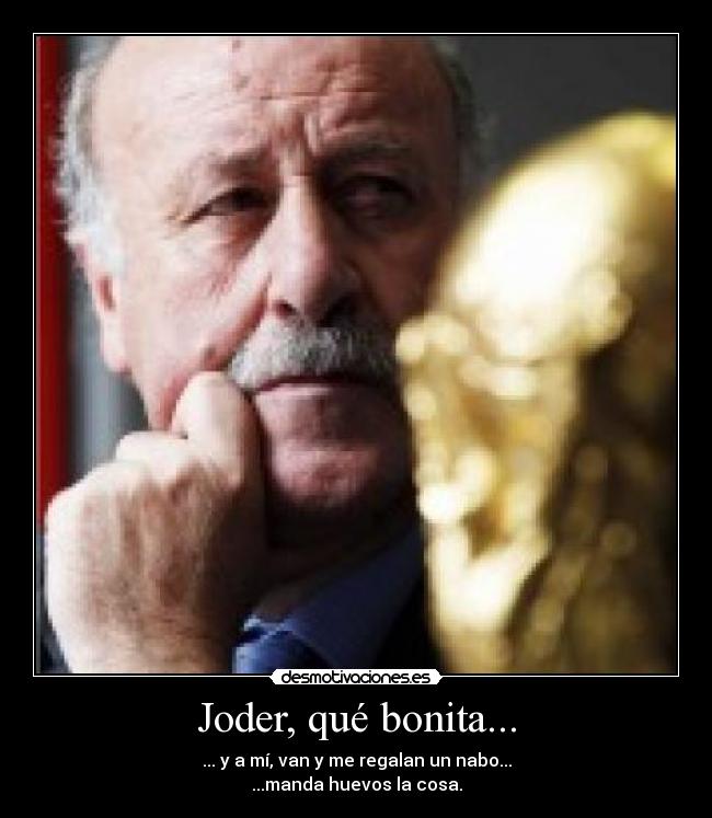 Joder, qué bonita... - 