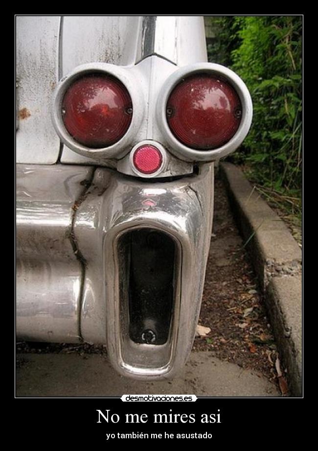 No me mires asi - yo también me he asustado