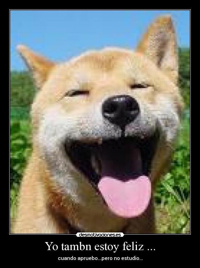Yo tambn estoy feliz ... -
