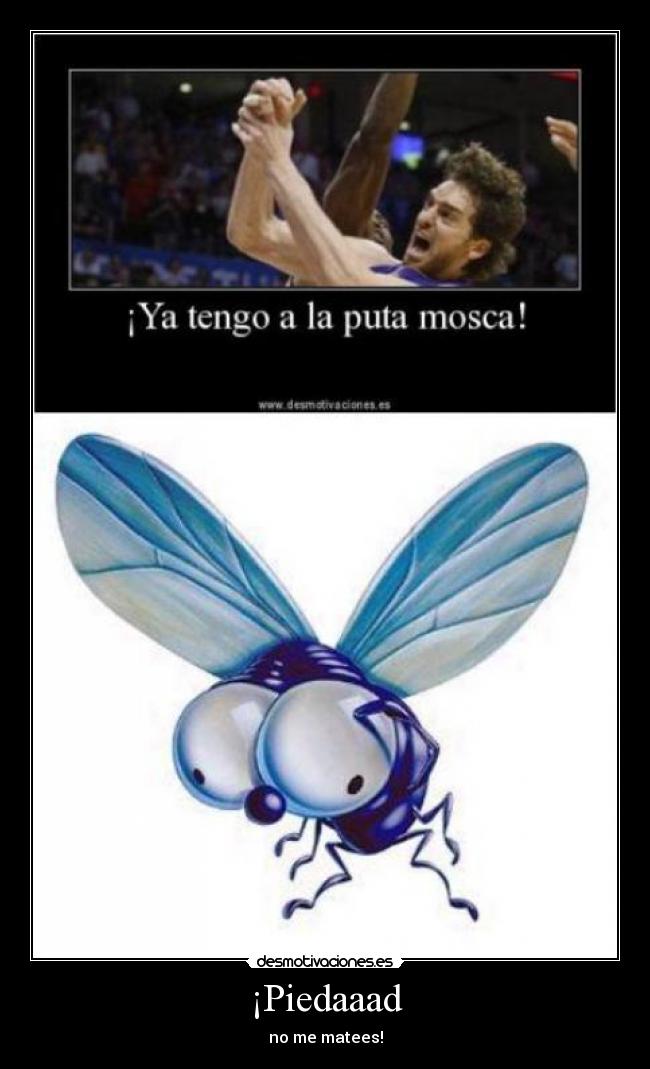 ¡Piedaaad - no me matees!