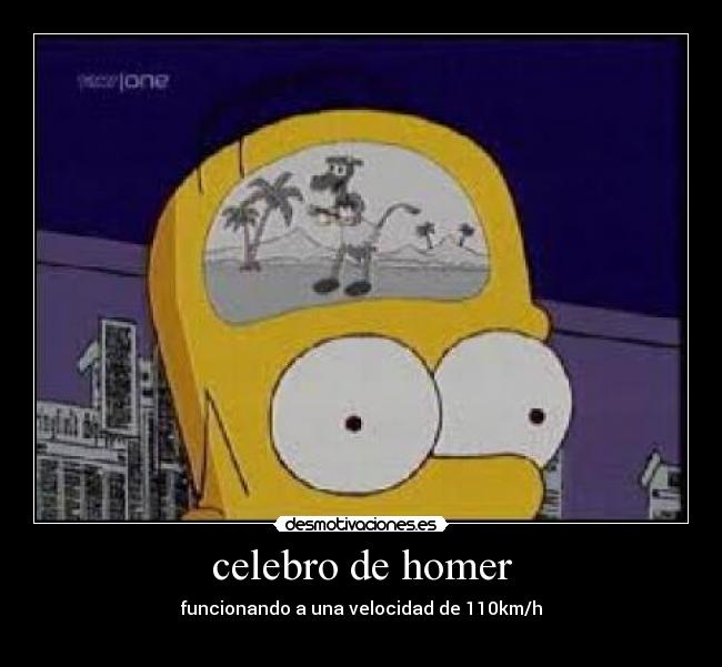 celebro de homer - funcionando a una velocidad de 110km/h

