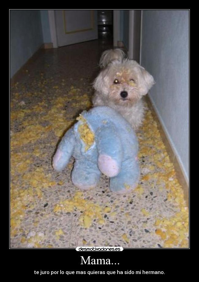 Mama... - te juro por lo que mas quieras que ha sido mi hermano.