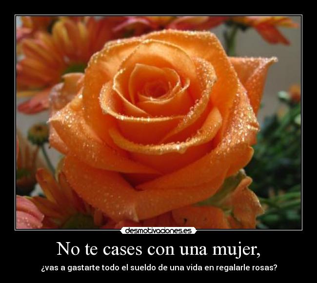 No te cases con una mujer, - ¿vas a gastarte todo el sueldo de una vida en regalarle rosas?