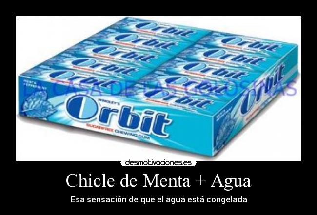 carteles agua menta chicle tu el sensacion hielo congelada desmotivaciones