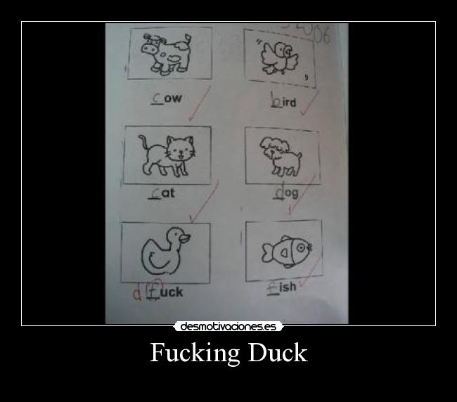 Fucking Duck -