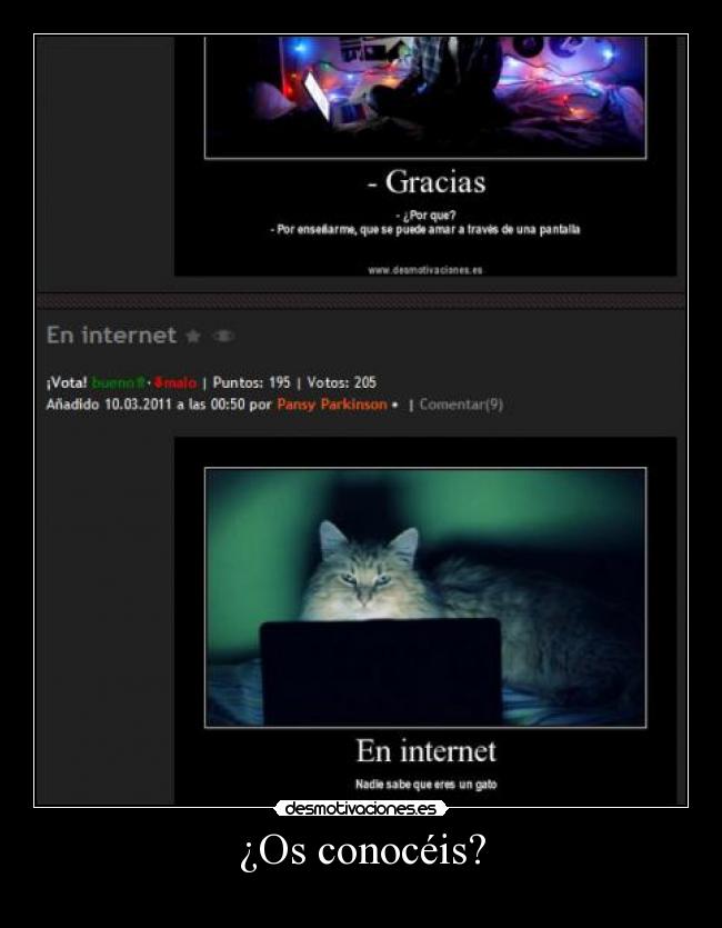 ¿Os conocéis? -