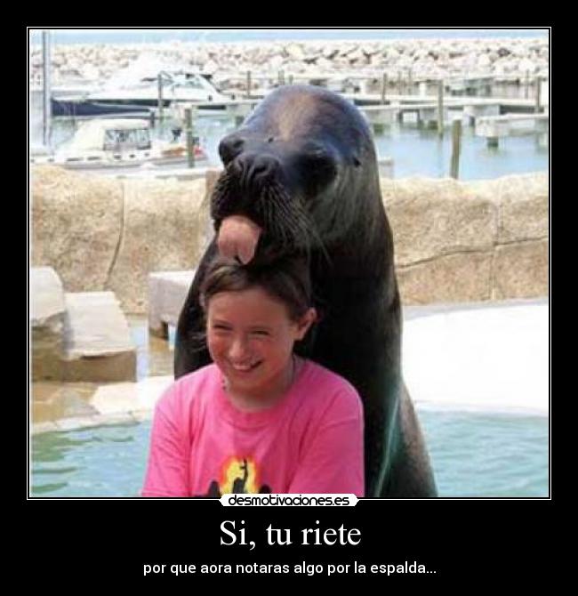 carteles foca desmotivaciones