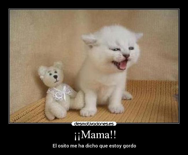 ¡¡Mama!! - El osito me ha dicho que estoy gordo