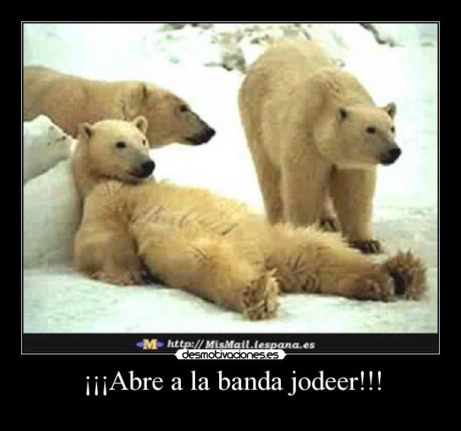 ¡¡¡Abre a la banda jodeer!!! -