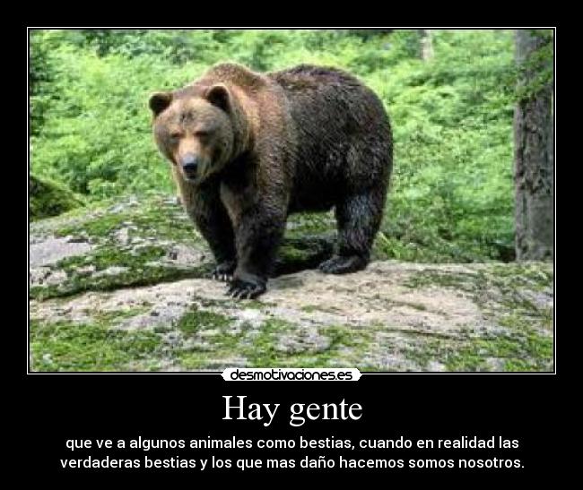 Hay gente - que ve a algunos animales como bestias, cuando en realidad las
verdaderas bestias y los que mas daño hacemos somos nosotros.