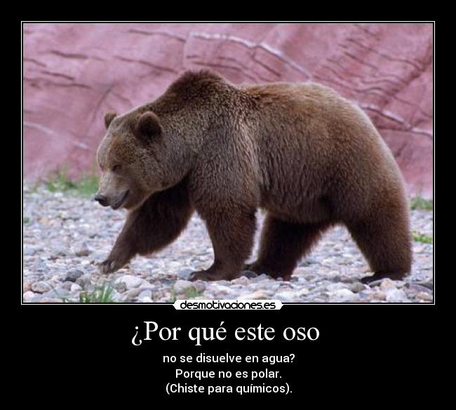 ¿Por qué este oso - no se disuelve en agua?
Porque no es polar.
(Chiste para químicos).