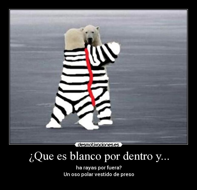 ¿Que es blanco por dentro y... - ha rayas por fuera?
Un oso polar vestido de preso
