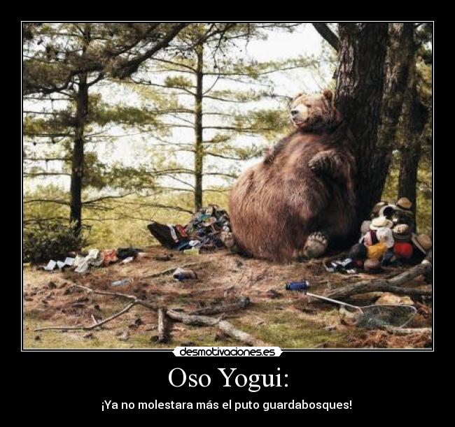 Oso Yogui: - ¡Ya no molestara más el puto guardabosques! 