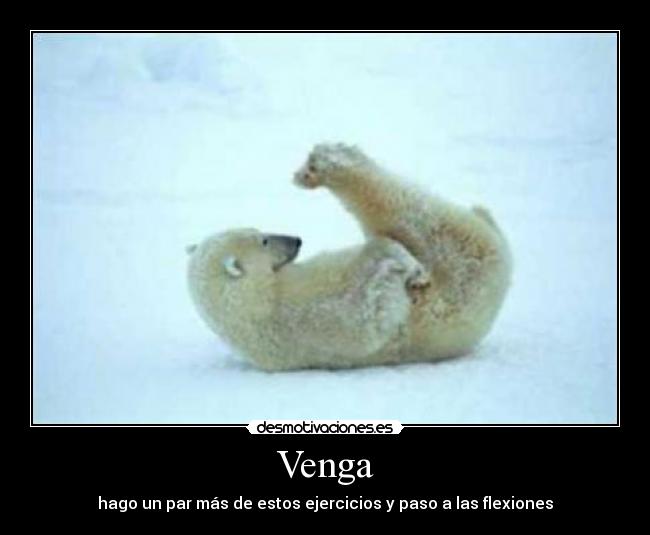 Venga - 