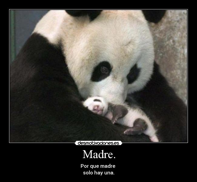 Madre. - 