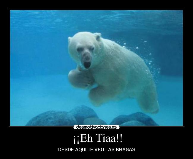 ¡¡Eh Tiaa!! - DESDE AQUI TE VEO LAS BRAGAS