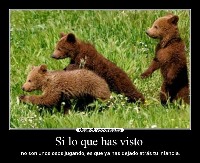 Si lo que has visto  - no son unos osos jugando, es que ya has dejado atrás tu infancia.