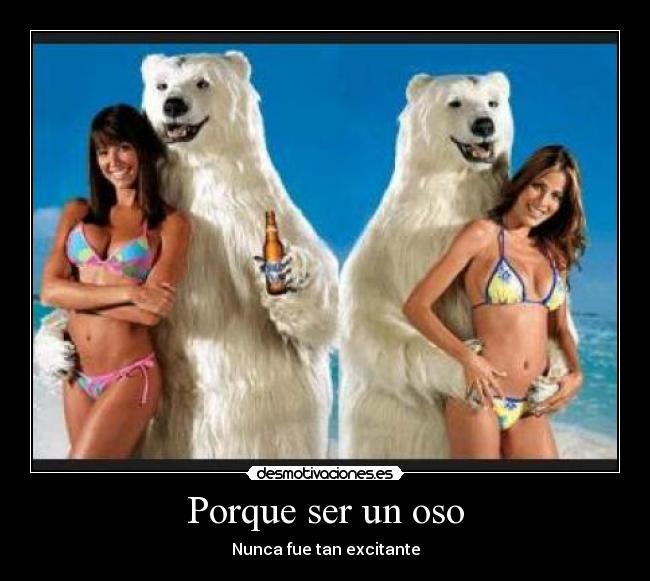 Porque ser un oso - Nunca fue tan excitante