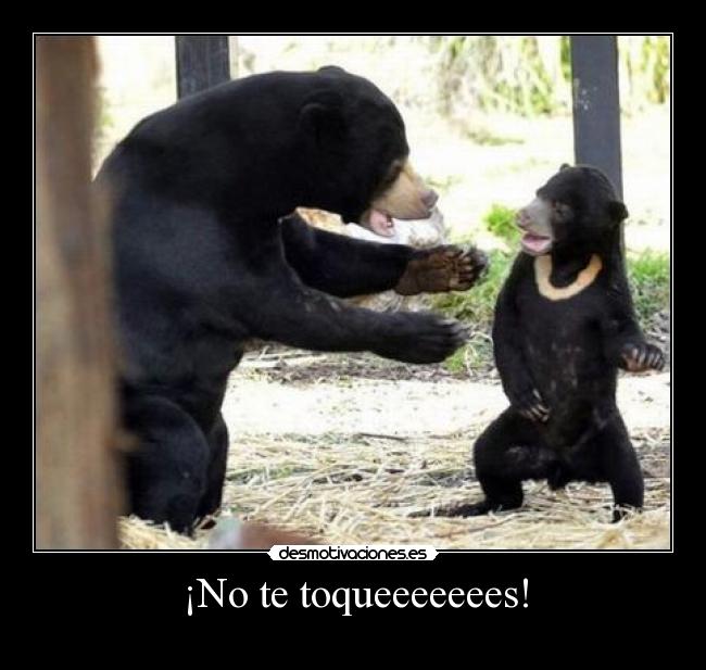 ¡No te toqueeeeeees! - 