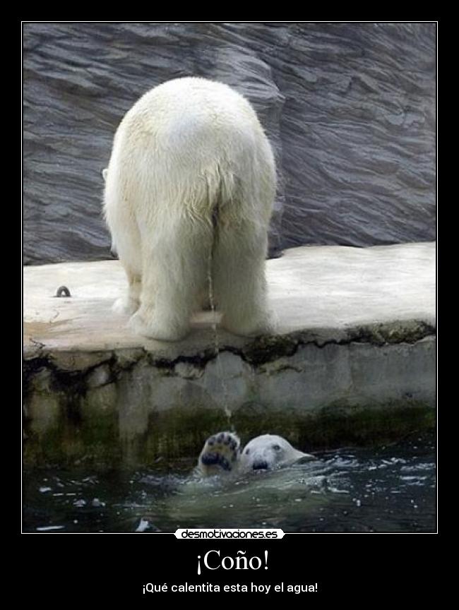 ¡Coño! - ¡Qué calentita esta hoy el agua!