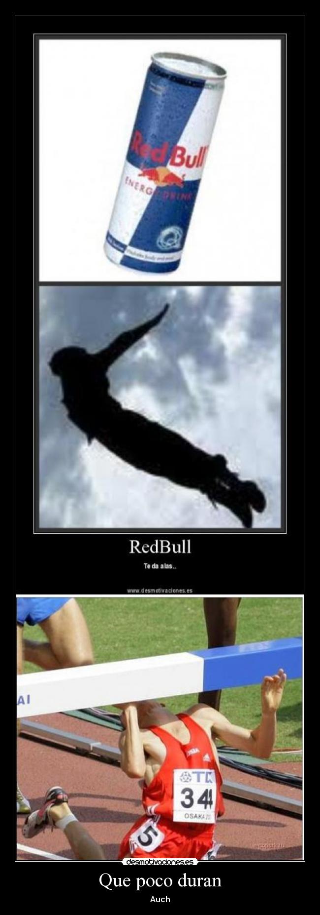 Que poco duran - Auch