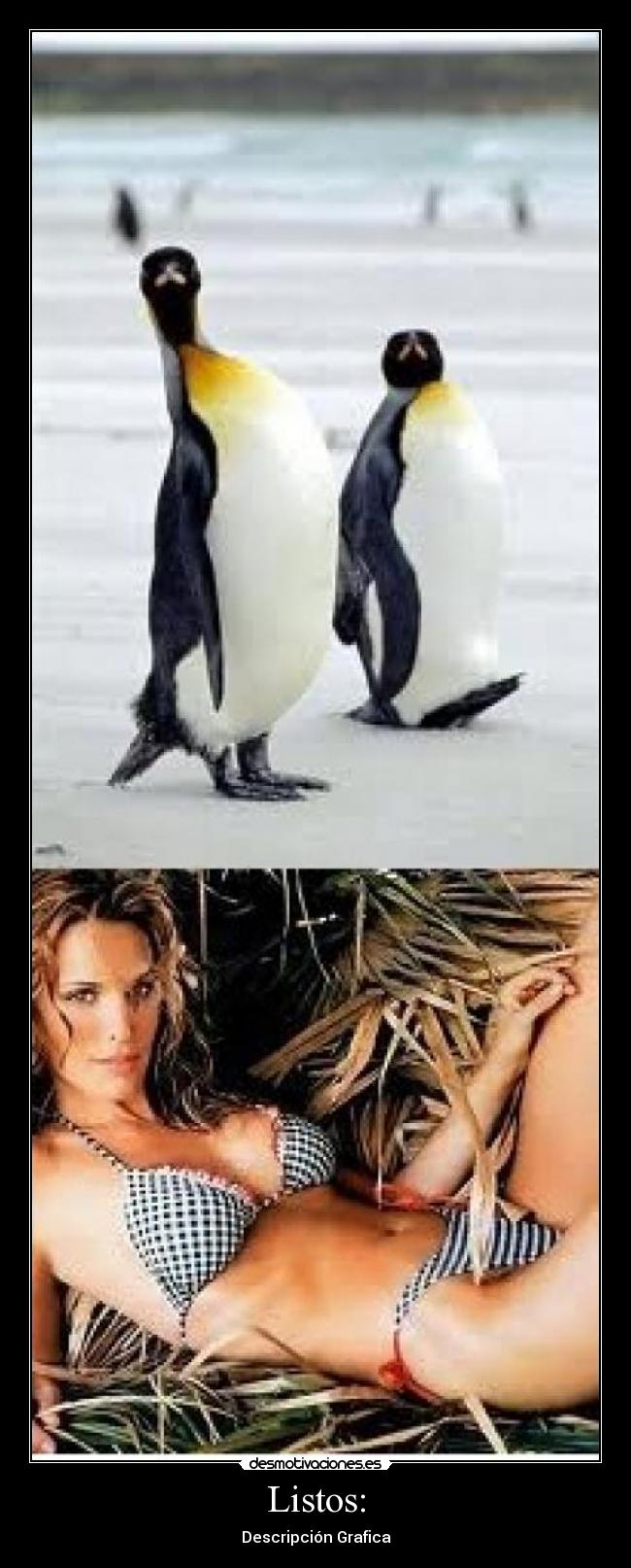 Listos: - Descripción Grafica