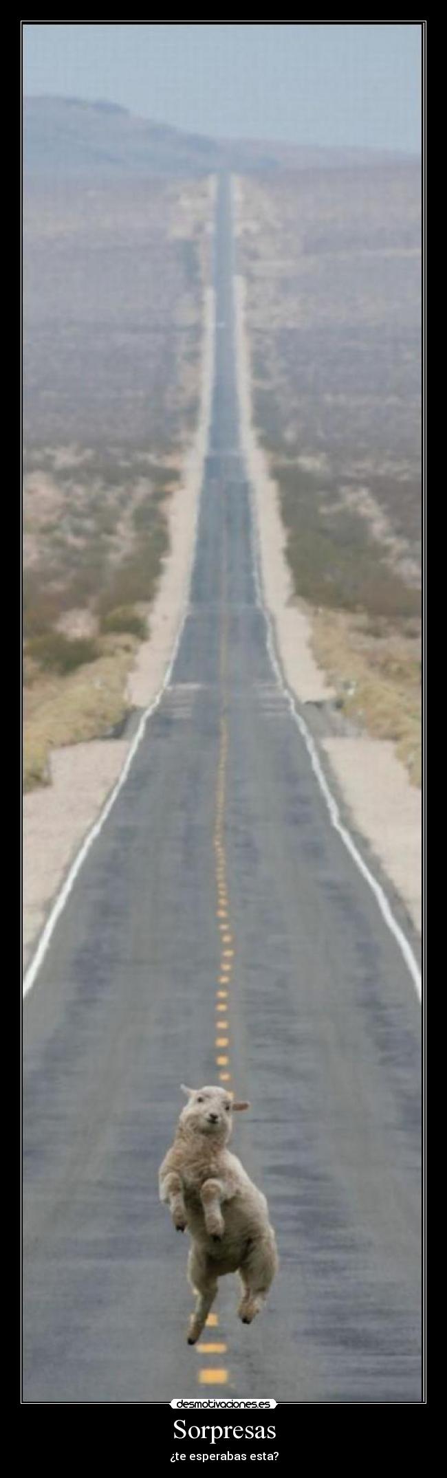 Sorpresas - ¿te esperabas esta?