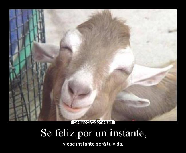 Se feliz por un instante, - 