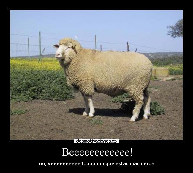 Resultado de imagen para desmotivaciones es imagenes comicas