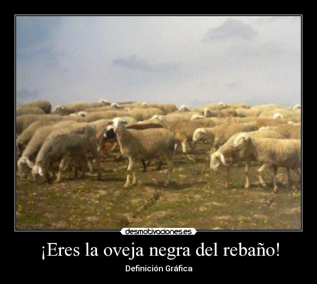 ¡Eres la oveja negra del rebaño! - Definición Gráfica
