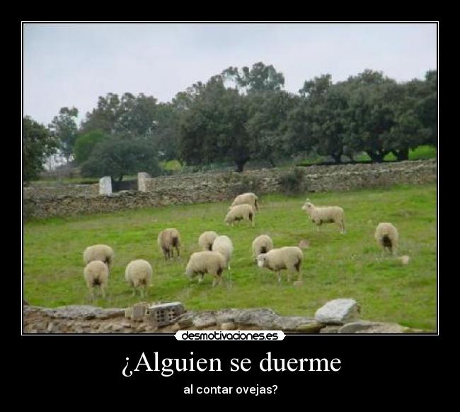 ¿Alguien se duerme -