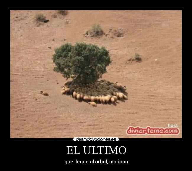 EL ULTIMO -