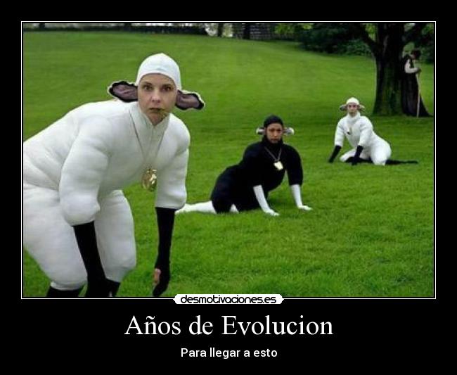 Años de Evolucion - 