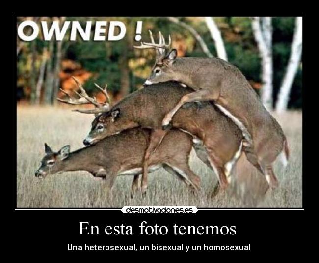 En esta foto tenemos - Una heterosexual, un bisexual y un homosexual
