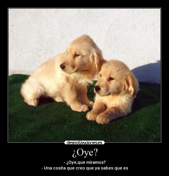 carteles pabilomola85 desmotivaciones