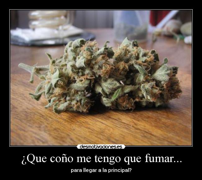 Related pictures carteles y desmotivaciones de wtf Related pictures carteles y desmotivaciones de wtf