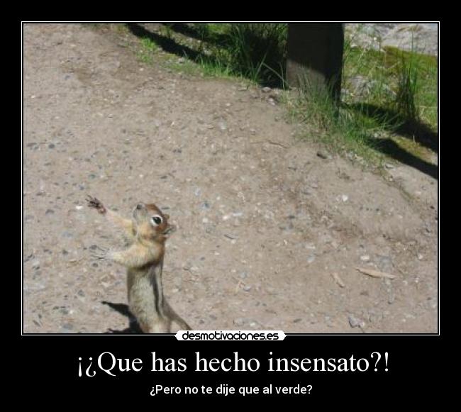 ¡¿Que has hecho insensato?! - 