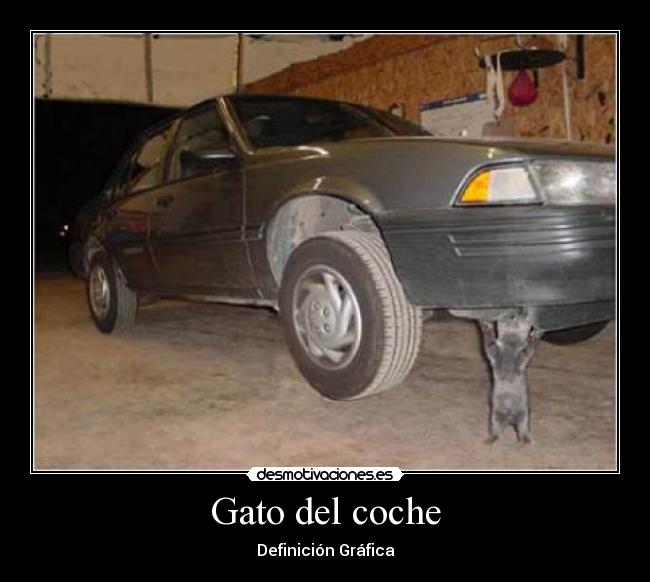 Gato del coche - Definición Gráfica