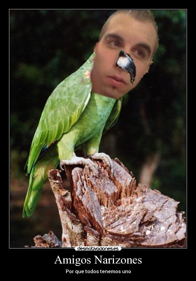 Amigos Narizones - Por que todos tenemos uno