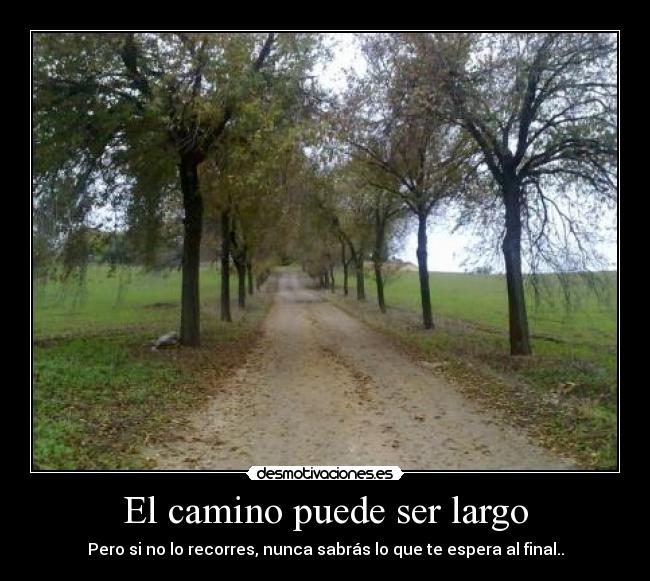 El camino puede ser largo - 
