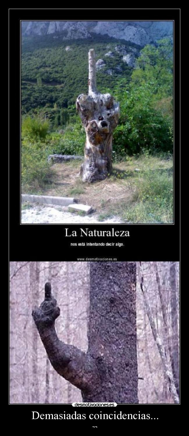 Demasiadas coincidencias... - ¬¬