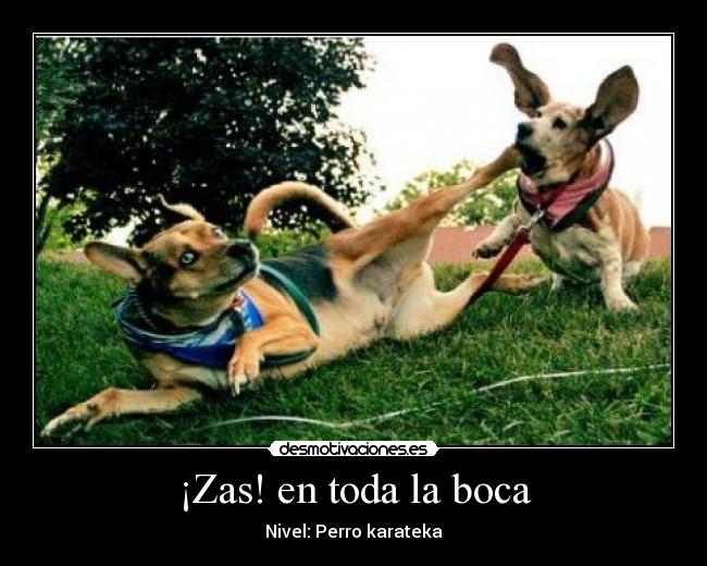 carteles zas toda boca perro karateka desmotivaciones