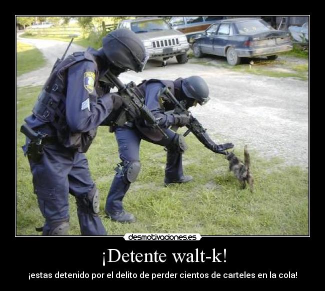 ¡Detente walt-k! - 
