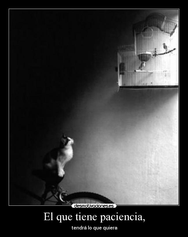 carteles paciencia sentimentales desmotivaciones