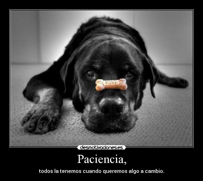 Paciencia, - todos la tenemos cuando queremos algo a cambio.