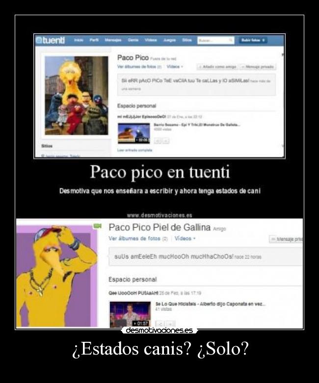 ¿Estados canis? ¿Solo? - 