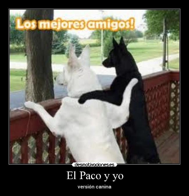 El Paco y yo - versión canina